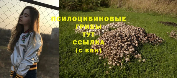 круглые Дмитриев