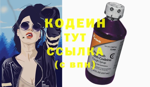 индика Дмитровск