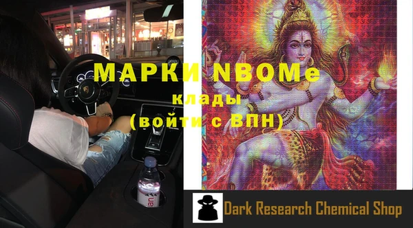 индика Дмитровск
