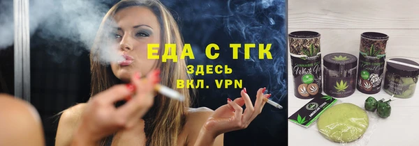 индика Дмитровск