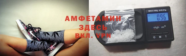 мет Дмитров