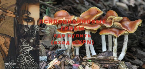 круглые Дмитриев