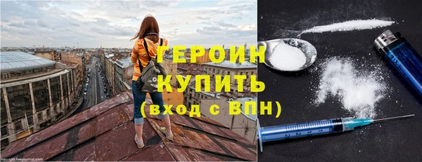 индика Дмитровск