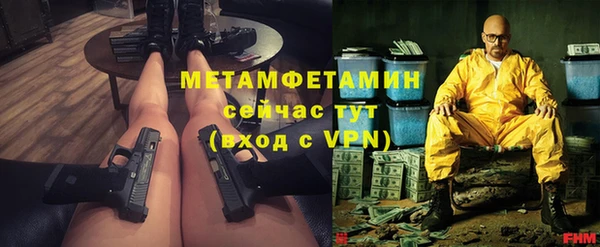 индика Дмитровск