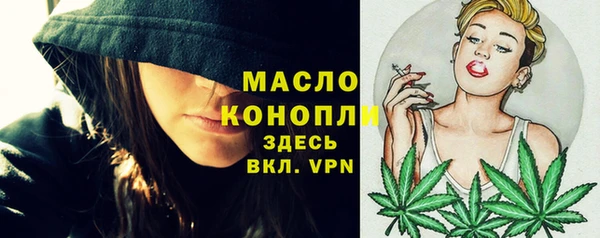 мет Дмитров