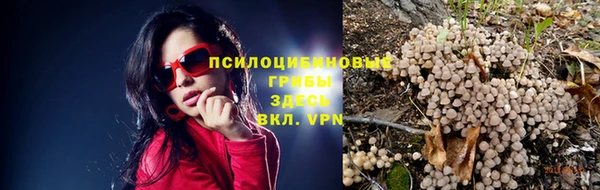 каннабис Ельня