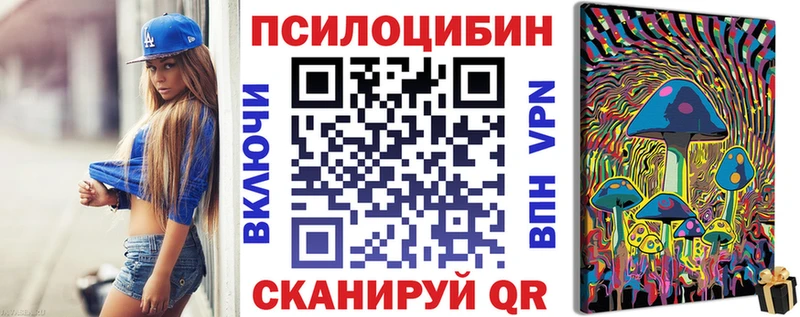 Галлюциногенные грибы Psilocybine cubensis  что такое   Прокопьевск 